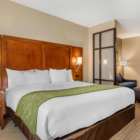 Comfort Suites San Antonio Airport North-3